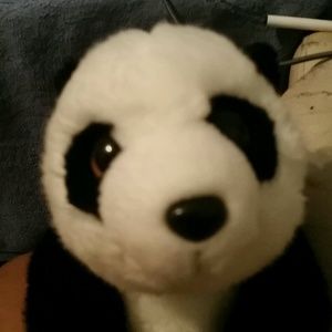 Meet your Posher, Sandy